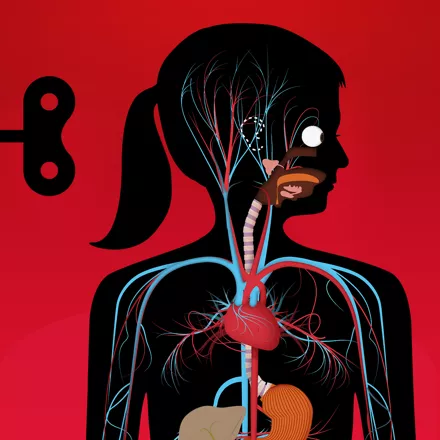 постер игры The Human Body