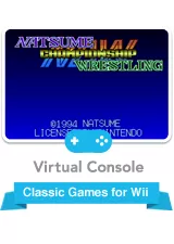 постер игры Natsume Championship Wrestling