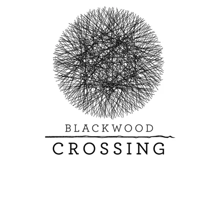 постер игры Blackwood Crossing