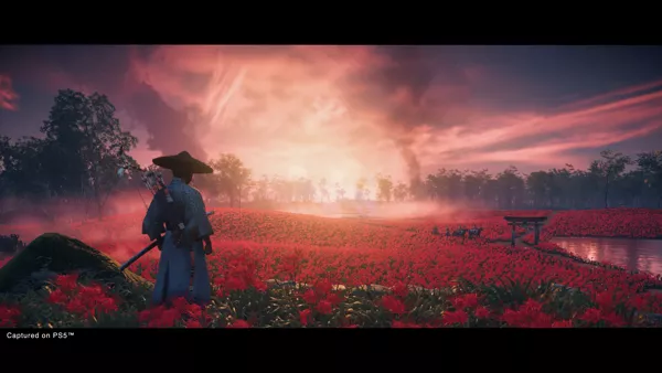 Ghost of Tsushima (2020) - MobyGames