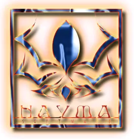 Nayma Software logo