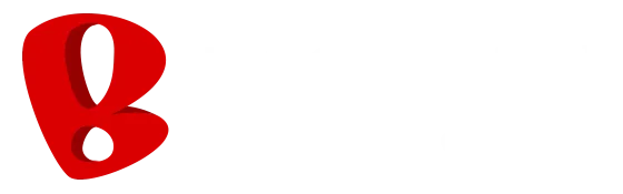Backflip Studios, Inc. logo