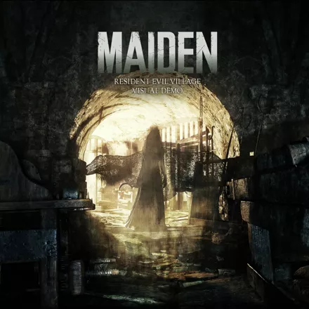 постер игры Maiden