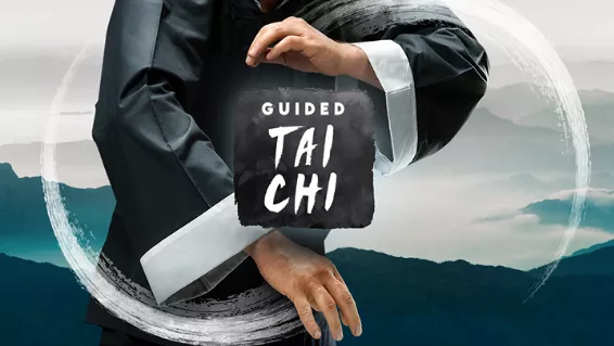 постер игры Guided Tai Chi
