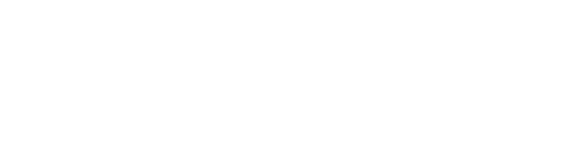 Playrion Game Studio logo