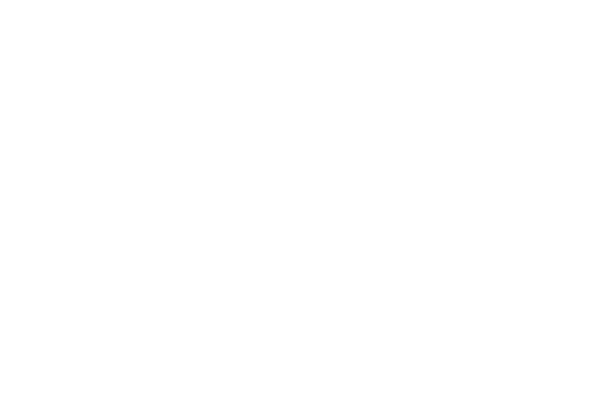 Snoozy Kazoo LLC logo
