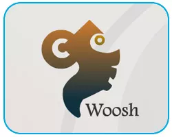 постер игры Woosh