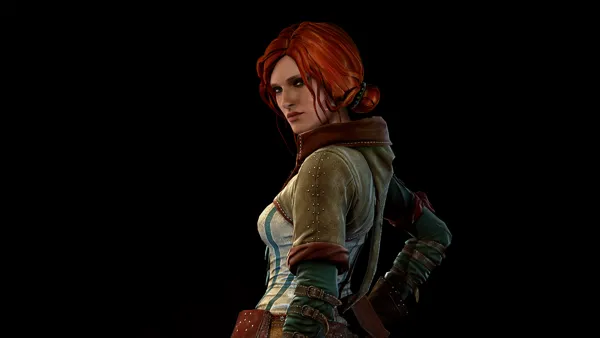 The Witcher 2: Assassins of Kings - Enhanced Edition promo art, ads ...