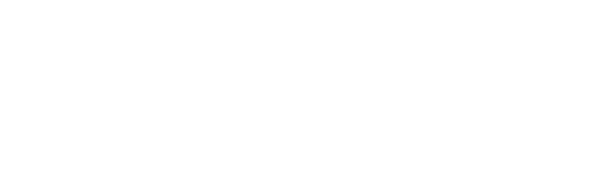 Frozen Pixel d.o.o. logo