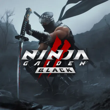NINJA GAIDEN 店頭ポスター il_fullxfull.3438456592_kgpf.jpg