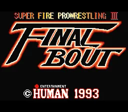 Play Super Fire Pro Wrestling III - Final Bout online