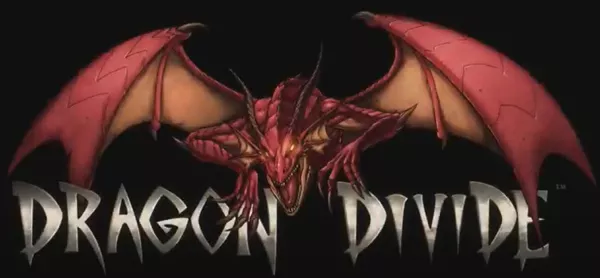 Dragon Divide, LLC logo