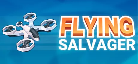 постер игры Flying Salvager