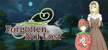 постер игры Forgotten, Not Lost