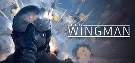 постер игры Project Wingman