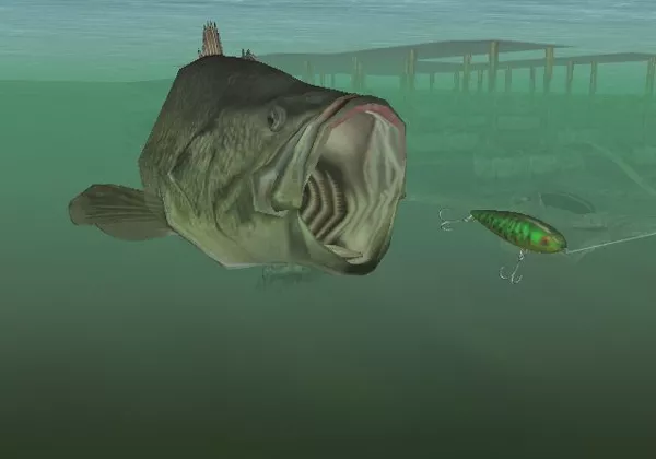 SEGA Bass Fishing Duel (2002) - MobyGames