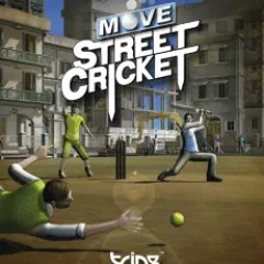 постер игры Move Street Cricket