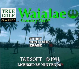 Super Golf (1991) - MobyGames