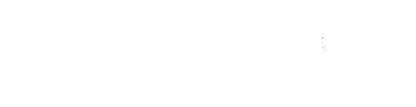 Endnight Games Ltd logo