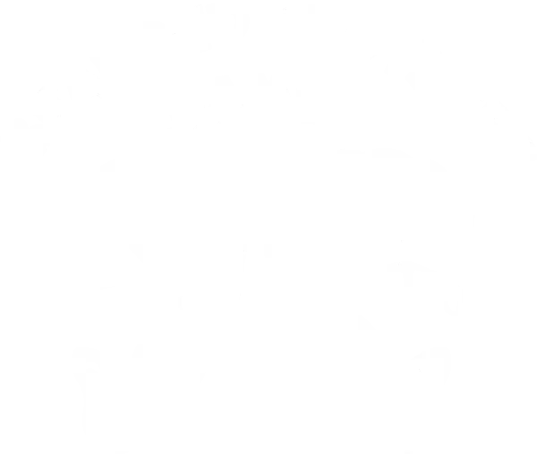 BeardedBrothers.games sp. z o.o. logo