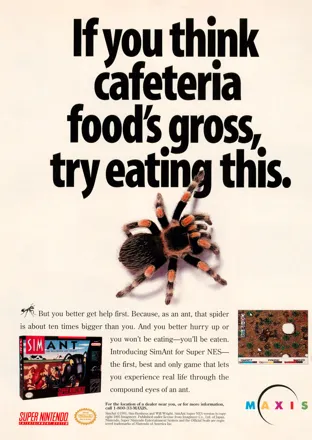 promo image