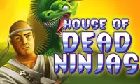 постер игры House of Dead Ninjas