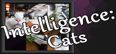 Front Cover for Intelligence: Cats (Windows) (Steam release)