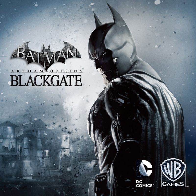 Batman: Arkham Origins cover or packaging material - MobyGames