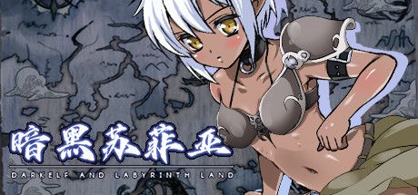 Front Cover for Dark Sphere: Darkelf and Labyrinth Land (Windows) (Steam release): Simplified Chinese version