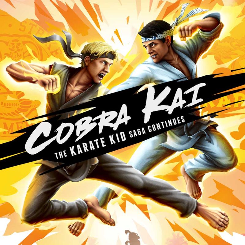 Cobra Kai: The Karate Kid Saga Continues cover or packaging material ...