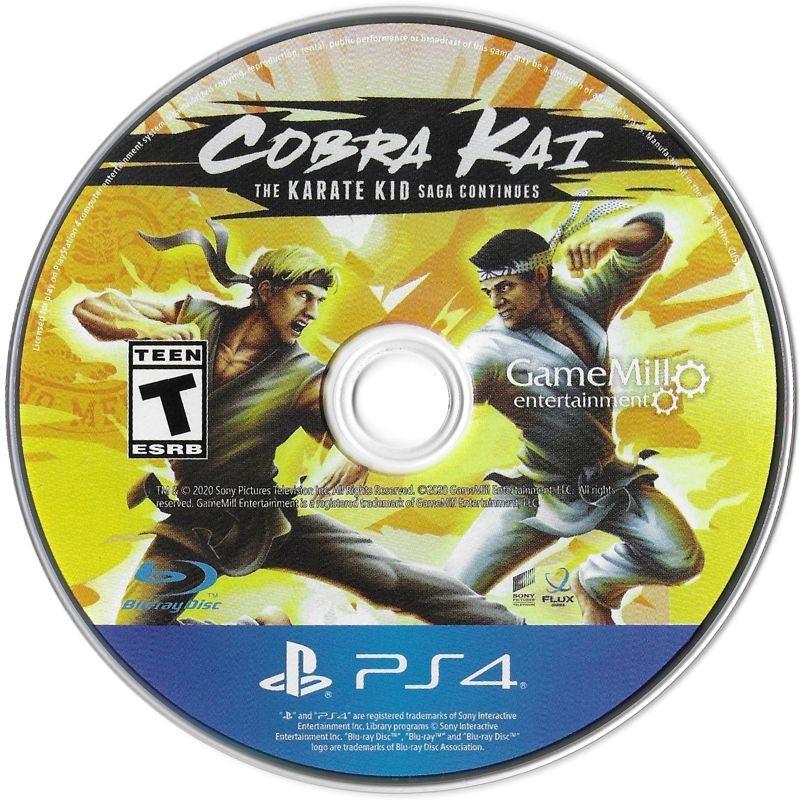 Media for Cobra Kai: The Karate Kid Saga Continues (PlayStation 4)