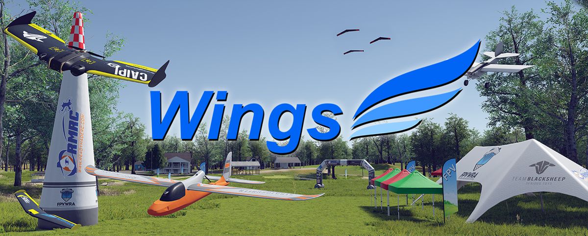 Front Cover for Wings Simulator (Linux and Windows) (Kitchen Sink Games download release)