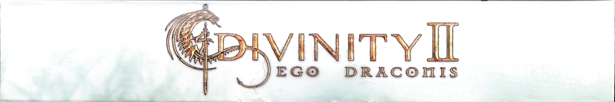 Spine/Sides for Divinity II: Ego Draconis (Windows): Top (rotated)