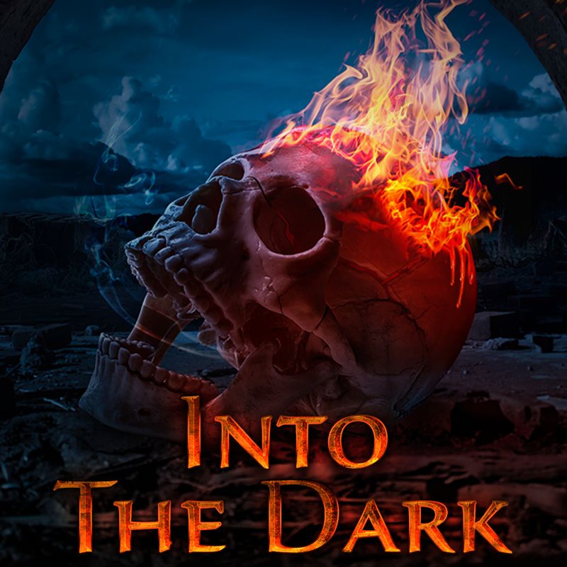 Front Cover for Into The Dark (Nintendo Switch) (download release)