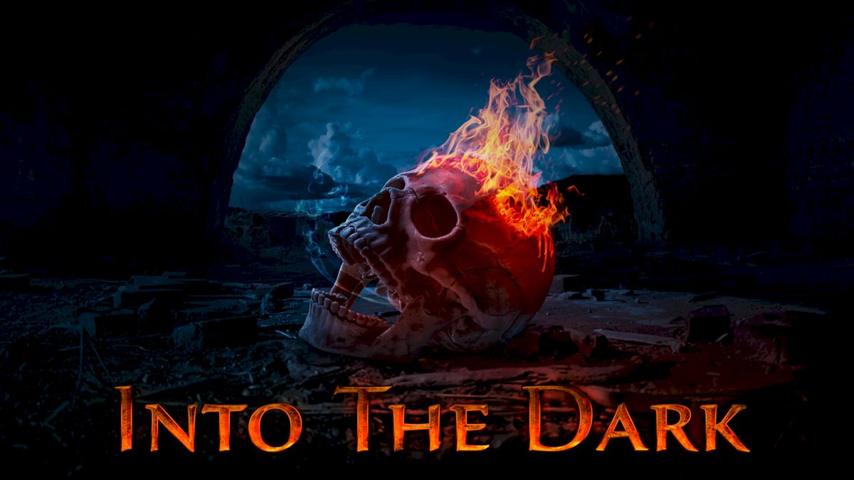 Front Cover for Into The Dark (Nintendo Switch) (download release)