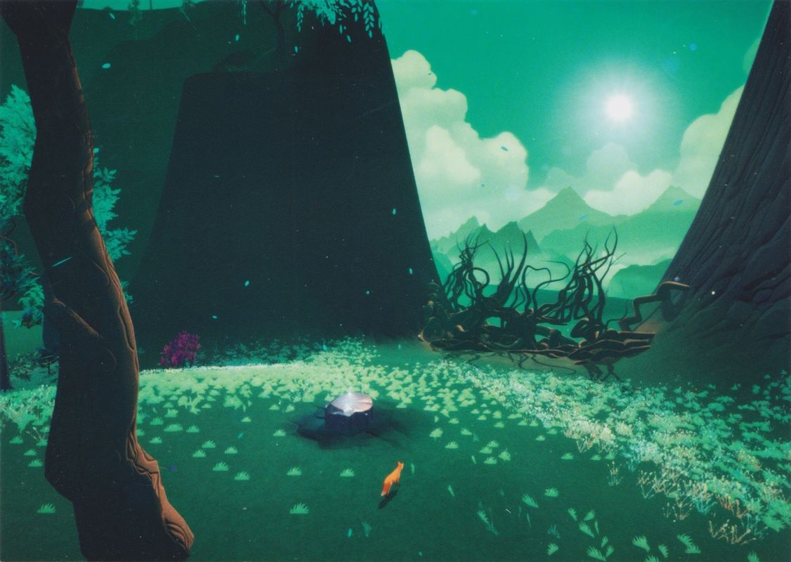 The First Tree (Special Limited Edition) cover or packaging material