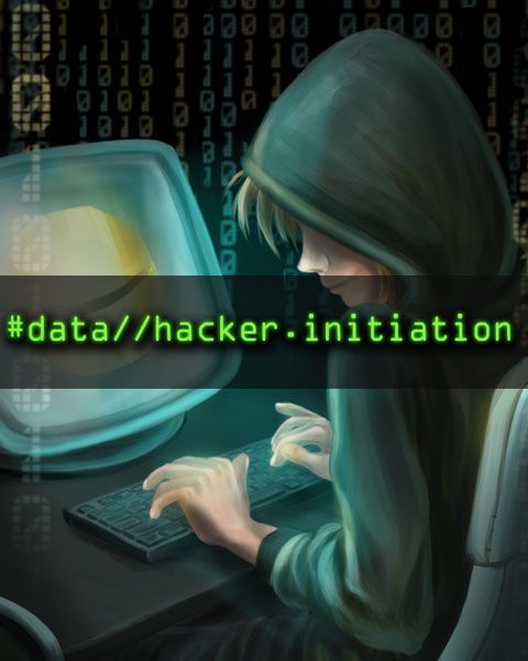 Front Cover for Data Hacker: Initiation (Linux and Windows) (FireFlower Games download release)
