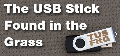 Front Cover for The USB Stick Found in the Grass (Windows) (Steam release)