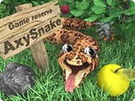 Front Cover for AxySnake (Windows)