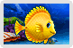 Front Cover for Fishdom (Windows) (Shockwave release)