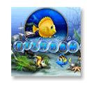 Front Cover for Fishdom (Macintosh) (Mac Games Store release)