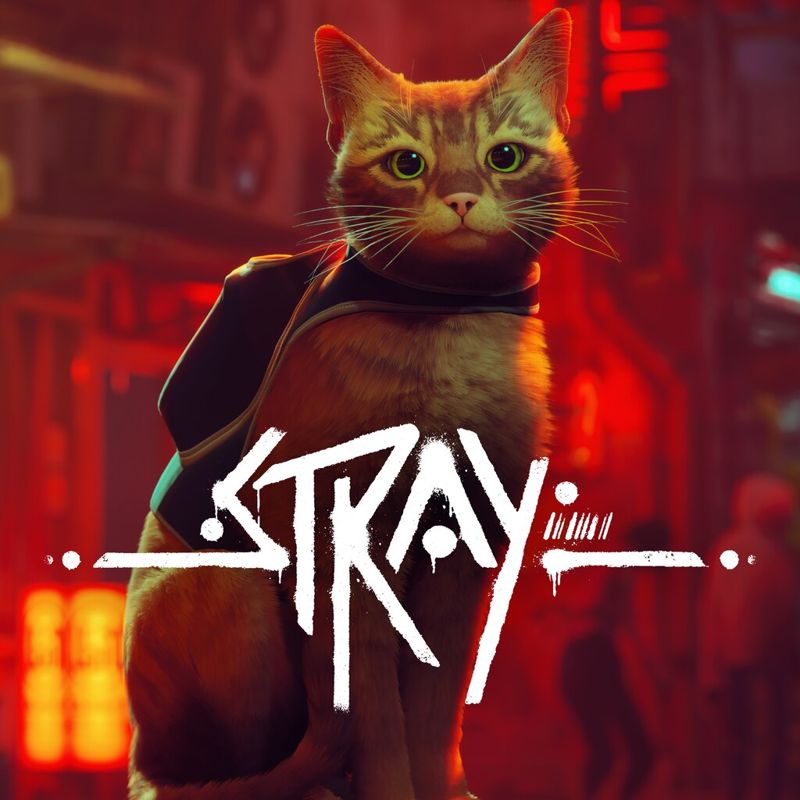 Front Cover for Stray (PlayStation 4 and PlayStation 5) (download release)