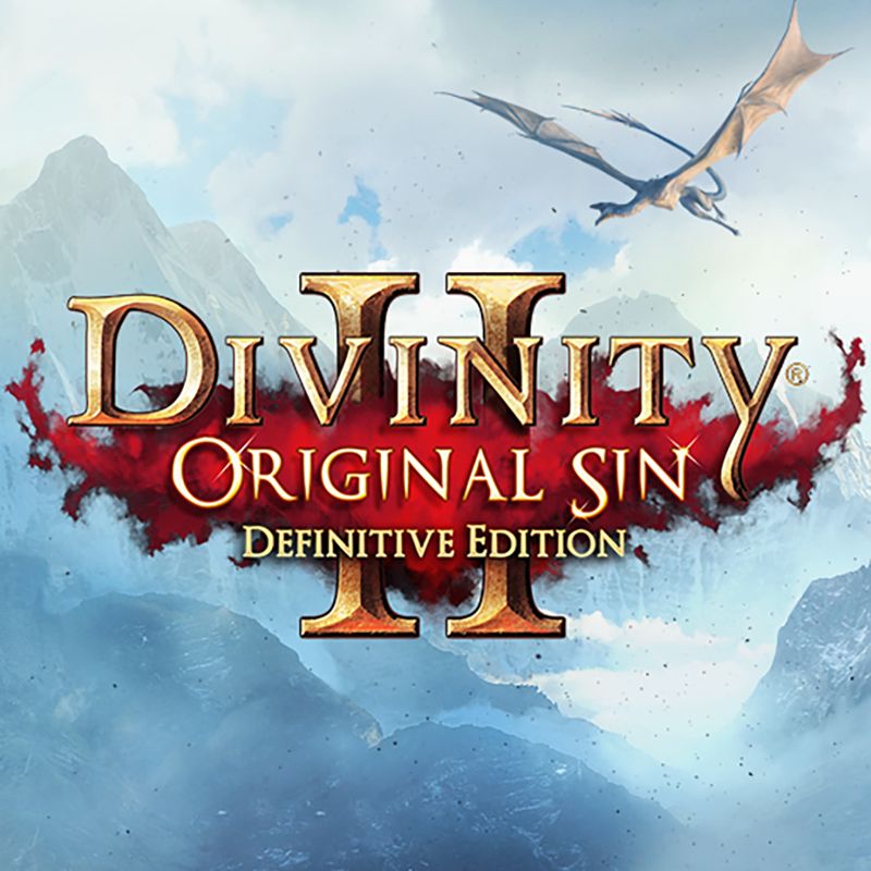 Front Cover for Divinity: Original Sin II (Nintendo Switch) (download release)