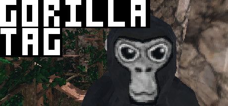 Bro the game was gorilla tag mobile : r/GorillaTag