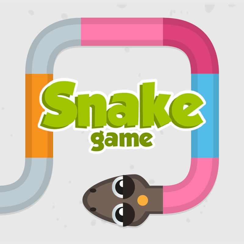 Snake Game cover or packaging material - MobyGames