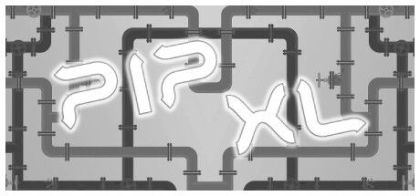 Front Cover for PIP XL (Windows) (Steam release)