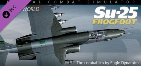 Front Cover for DCS World: Su-25 Frogfoot (Windows) (Steam release)