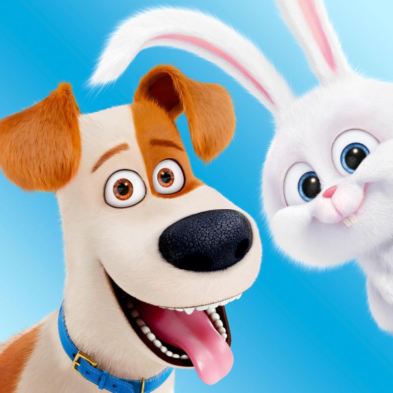 Front Cover for The Secret Life of Pets: Unleashed (iPad and iPhone): second version