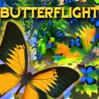 Front Cover for ButterFlight (Windows) (Reflexive Entertainment release)