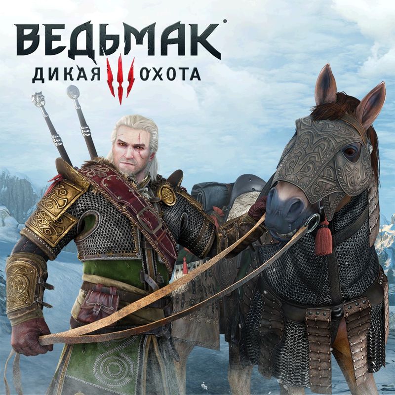 Front Cover for The Witcher 3: Wild Hunt - Skellige Armor Set (PlayStation 4) (PSN release)
